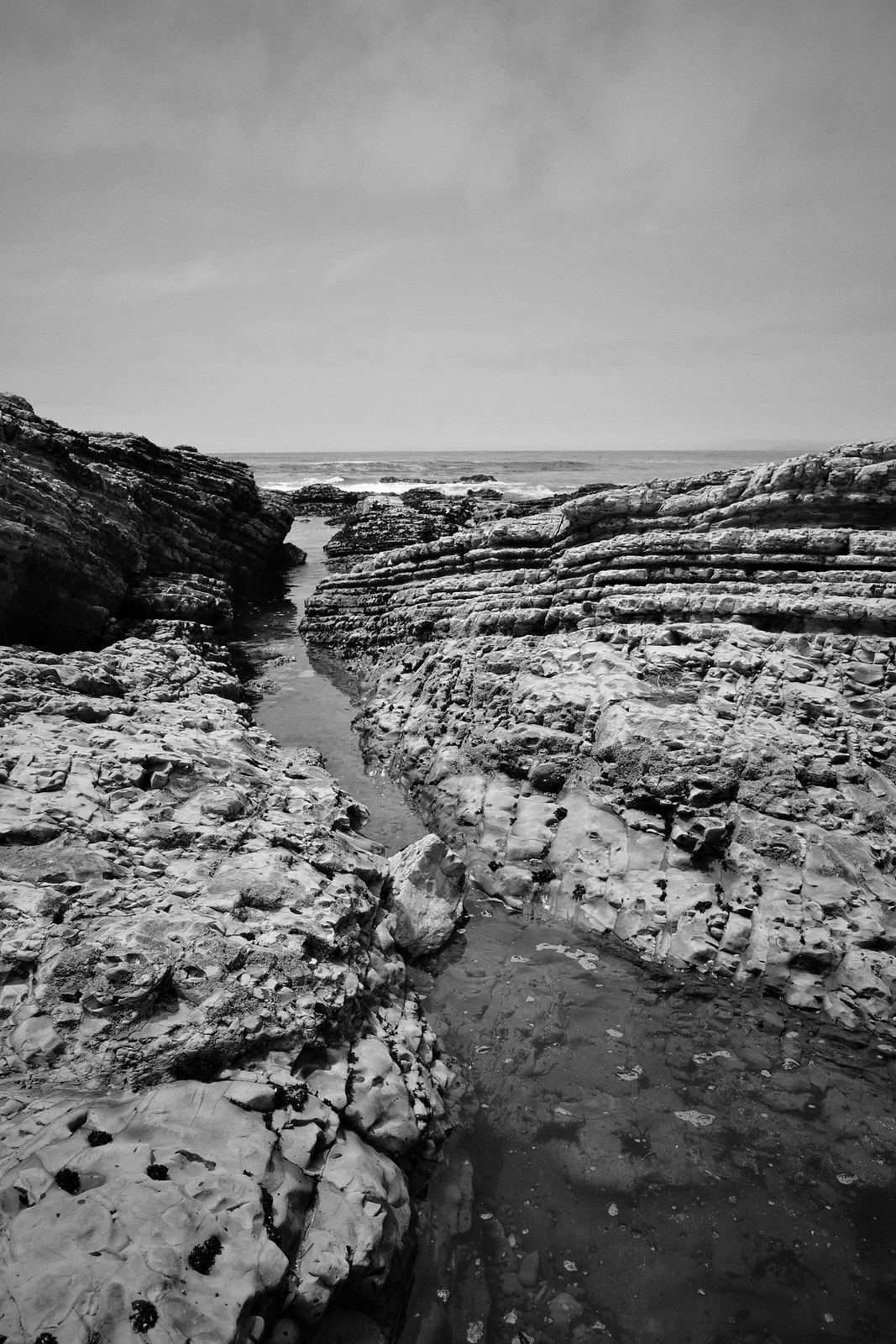 Ricoh GR III Monochrome – RITCHIE'S RICOH RECIPES