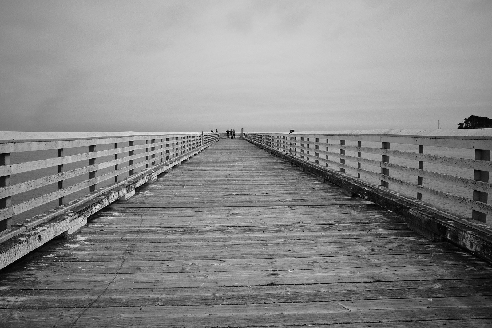 【美品】RICOH GR III Monochrome Ricoh GR III Monochrome – RITCHIE'S RICOH RECIPES